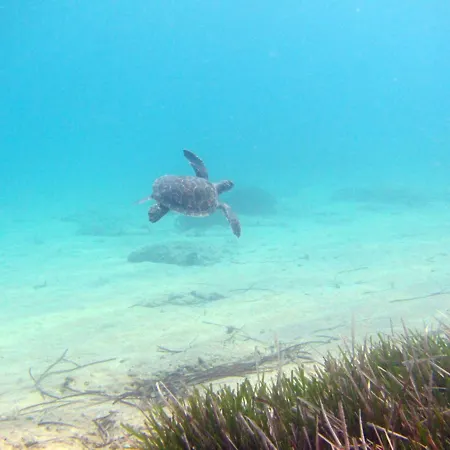 Holiday Hotel Dalyan 2* Dalyan