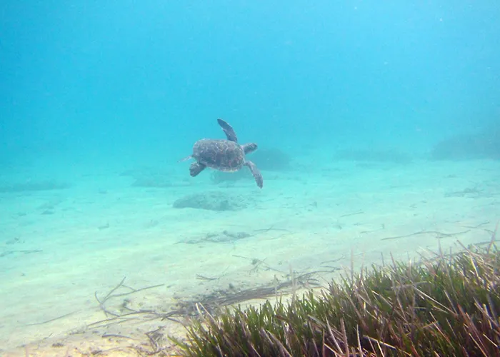 Holiday Hotel Dalyan 2* Dalyan