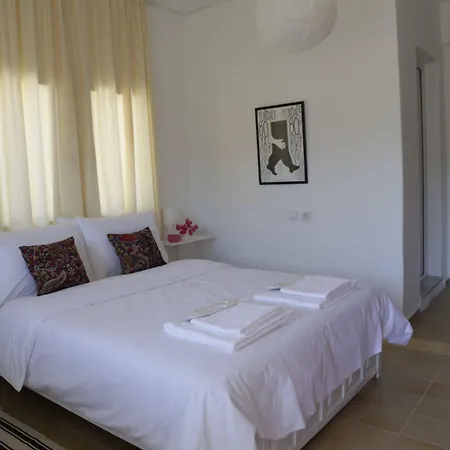 Holiday Hotel Dalyan 2* 달리안