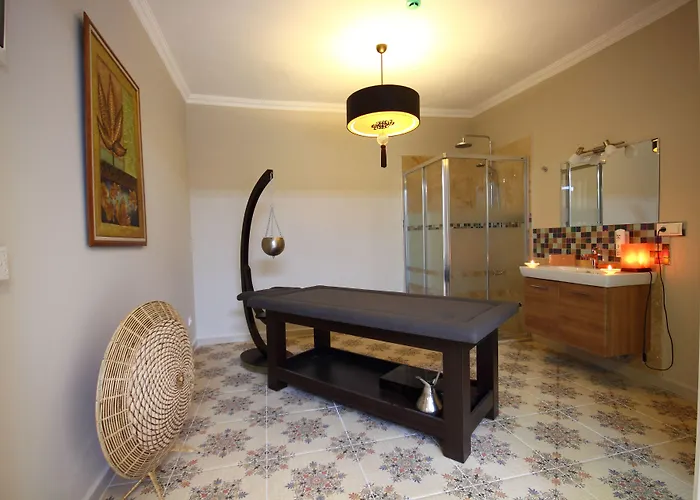 Otel Holiday Hotel Dalyan 2*